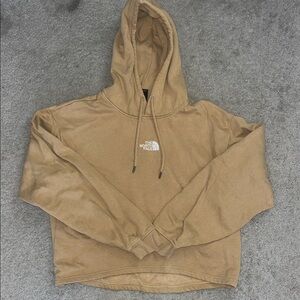 The North Face Brown Pullover Cropped Hoodie